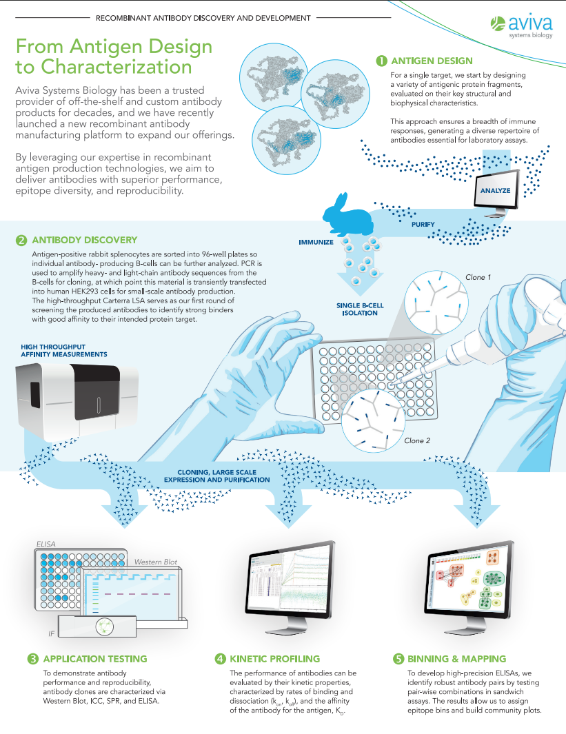 Aviva_Process_Infographic