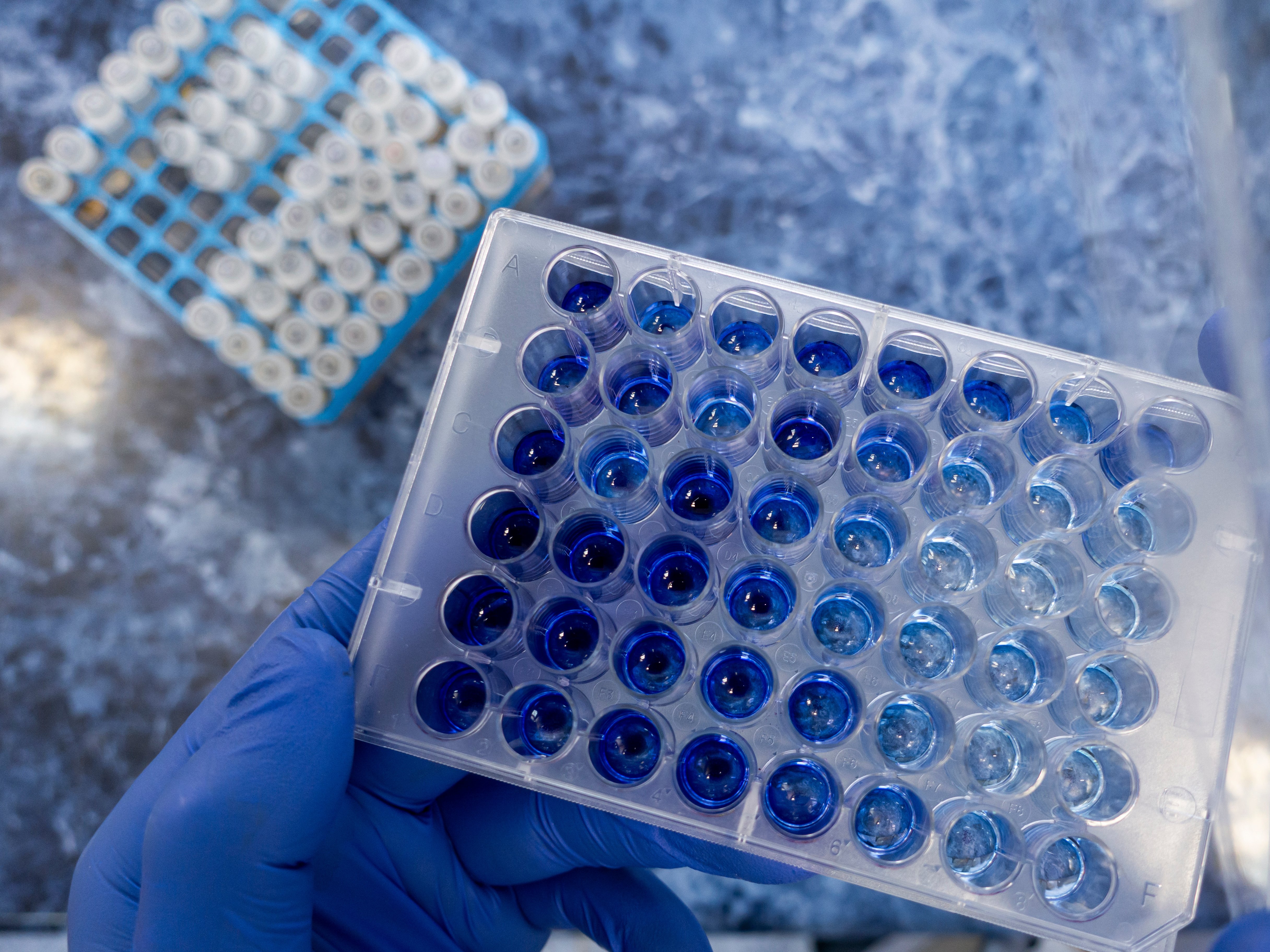 AdobeStock_508922138